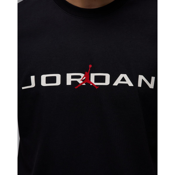 Футболка чоловіча Jordan Air (IB7353-010)