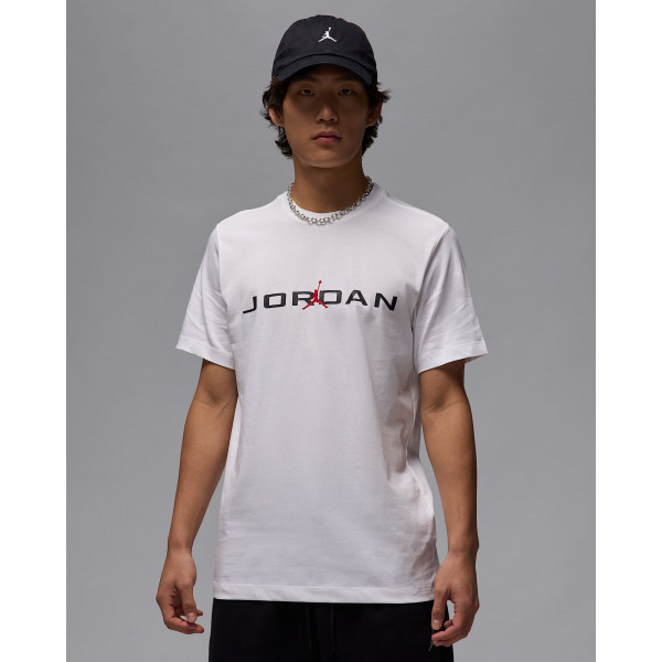 Футболка чоловіча Jordan Air Ss Crew (IB7353-101)