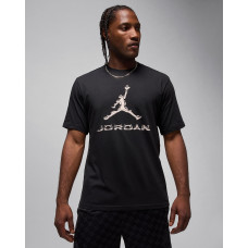 Футболка чоловіча Jordan Dri-Fit (HQ9091-010)