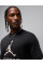 Футболка чоловіча Jordan Dri-Fit (HQ9091-010)