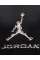 Футболка чоловіча Jordan Dri-Fit (HQ9091-010)