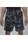 Шорти чоловічі Jordan Printed (FV7237-068)
