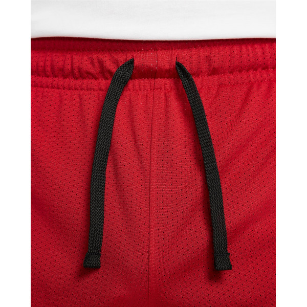 Шорти чоловічі Jordan Sport Dri-Fit (DH9077-687)