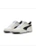 Кросівки жіночі Puma Rebound V6 Low Beige 392328-18 44