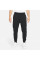 Брюки чоловічі Nike Sports Wear Te Fleece Jogger (DD5293-010)