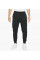 Брюки чоловічі Nike Sports Wear Te Fleece Jogger (DD5293-010)