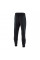 Брюки чоловічі Nike Sportswear Swoosh Tech Fleece Pant (DH1023-010)