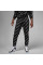 Брюки чоловічі Jordan Aop Graphics Fleece Pants (DV7646-010)