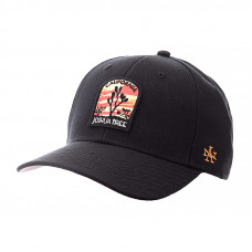 Бейсболка AMERICAN NEEDLE Joshua Tree NP Stadium