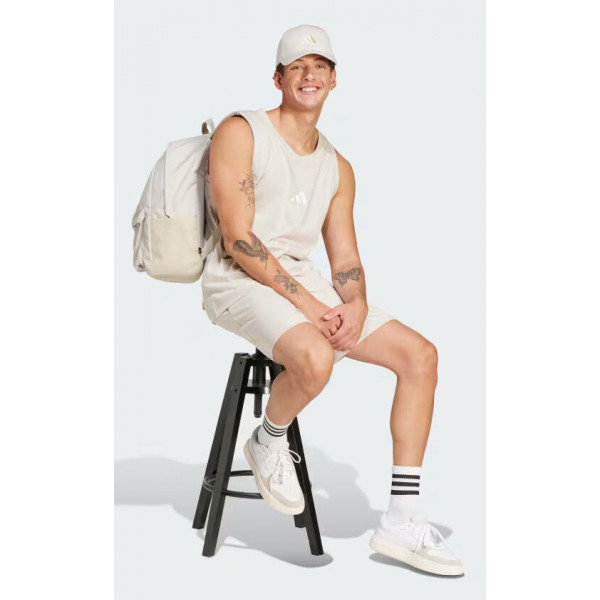 Рюкзак чоловічій  Adidas CLSC BARS 3S 27,5L бежевий Уні 15х31х44 см IS7047
