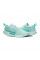 Кросівки жіночі Nike ZOOM COURT PRO CLY FD1156-300