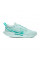 Кросівки жіночі Nike ZOOM COURT PRO CLY FD1156-300