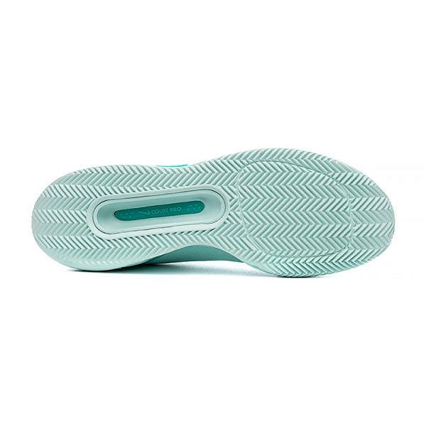 Кросівки жіночі Nike ZOOM COURT PRO CLY FD1156-300