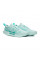 Кросівки жіночі Nike ZOOM COURT PRO CLY FD1156-300