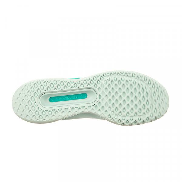 Кросівки жіночі Nike ZOOM COURT PRO HC DV3285-300