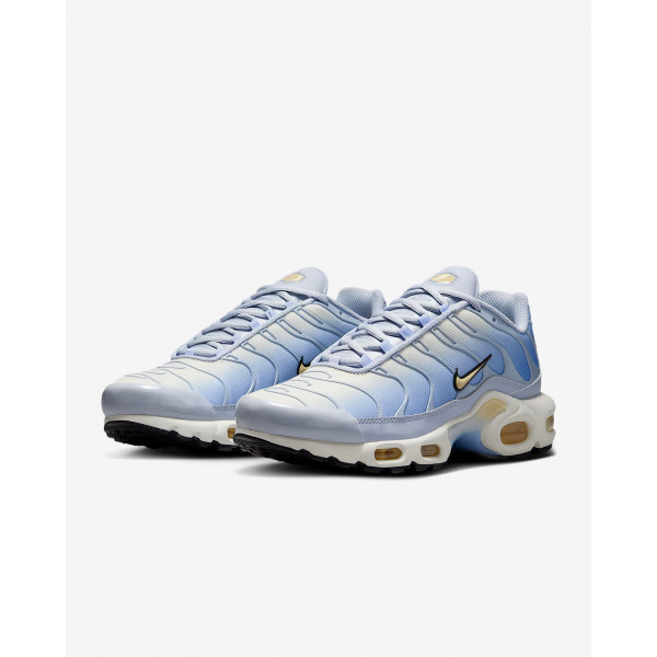 Кросівки жіночі Nike W AIR MAX PLUS DZ3670-004