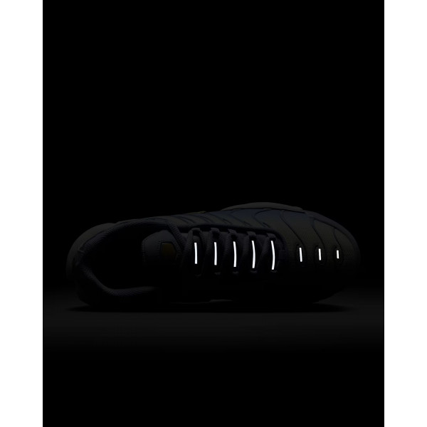 Кросівки жіночі Nike W AIR MAX PLUS DZ3670-004