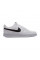 Кросівки жіночі  Nike Court Vision Low Better DH3158-101