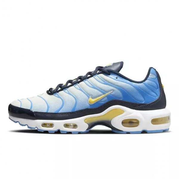 Кросівки жіночі Nike Air Max Plus Blue