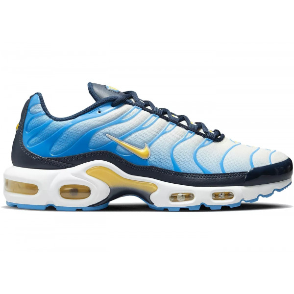 Кросівки жіночі Nike Air Max Plus Blue