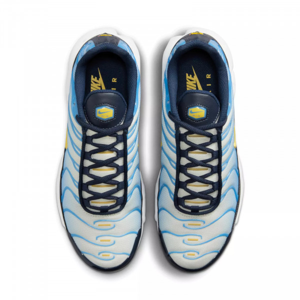 Кросівки жіночі Nike Air Max Plus Blue