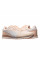Кросівки жіночі Puma St Runner V3 (38485728)