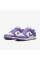 Кросівки жіночі Nike Dunk Low Next Nature (DD1873-108)