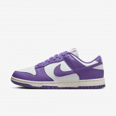 Кросівки жіночі Nike Dunk Low Next Nature (DD1873-108)