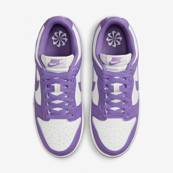 Кросівки жіночі Nike Dunk Low Next Nature (DD1873-108)