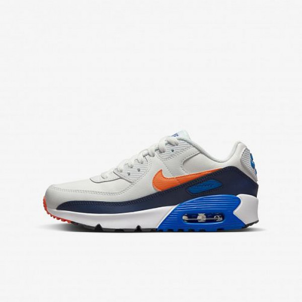 Кросівки NIKE AIR MAX 90 LTR (GS)