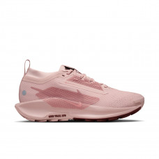Кросівки жіночі бігові  Nike W PEGASUS TRAIL 5 GTX FQ0912-601