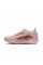 Кросівки жіночі бігові  Nike W PEGASUS TRAIL 5 GTX FQ0912-601