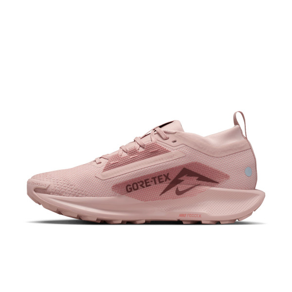 Кросівки жіночі бігові  Nike W PEGASUS TRAIL 5 GTX FQ0912-601
