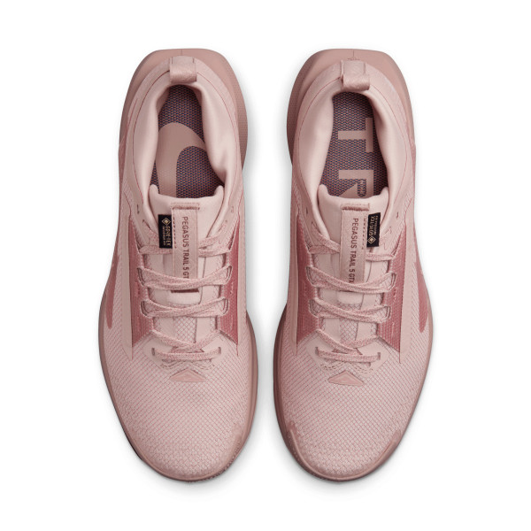 Кросівки жіночі бігові  Nike W PEGASUS TRAIL 5 GTX FQ0912-601