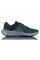 Кросівки Nike Juniper Trail 2 GTX V2 Womens