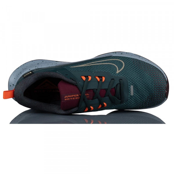 Кросівки Nike Juniper Trail 2 GTX V2 Womens