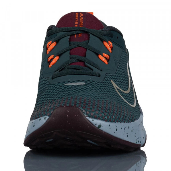 Кросівки Nike Juniper Trail 2 GTX V2 Womens