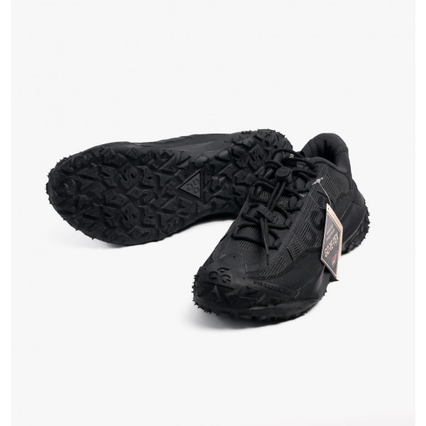 Кросівки чоловічі Nike Acg Mountain Fly 2 Low Gore-Tex (HF6245-001)