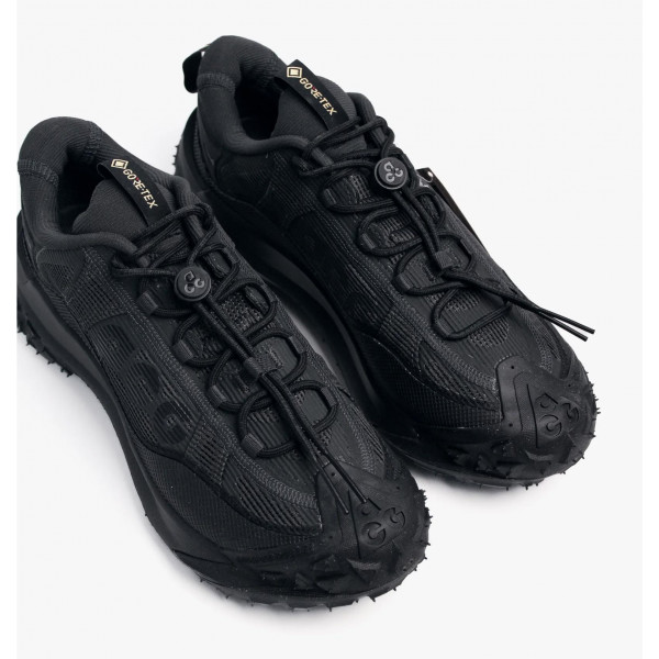 Кросівки чоловічі Nike Acg Mountain Fly 2 Low Gore-Tex (HF6245-001)