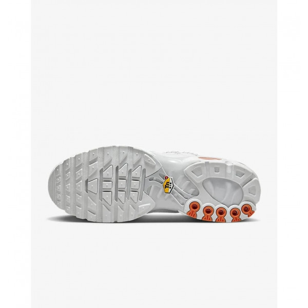 Кросівки чоловічі Nike Air Max Plus Tn (FJ4232-100)