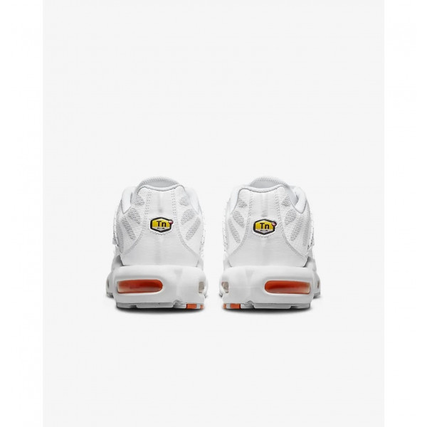 Кросівки чоловічі Nike Air Max Plus Tn (FJ4232-100)