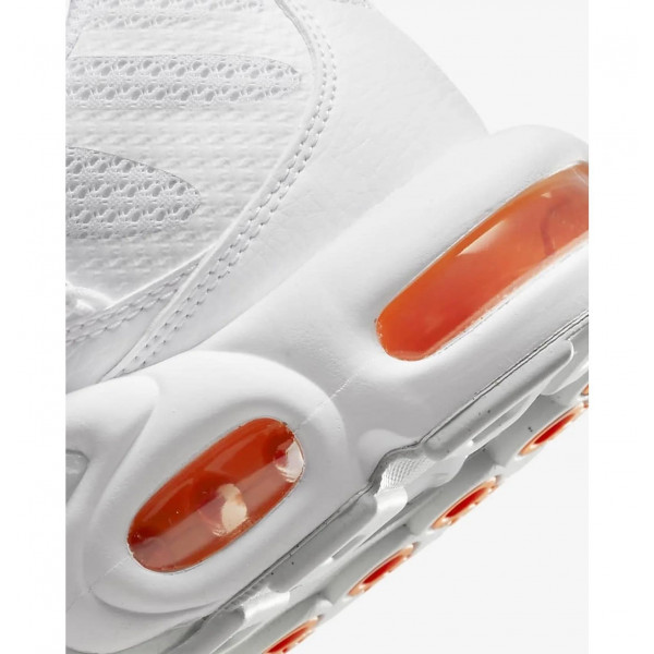 Кросівки чоловічі Nike Air Max Plus Tn (FJ4232-100)