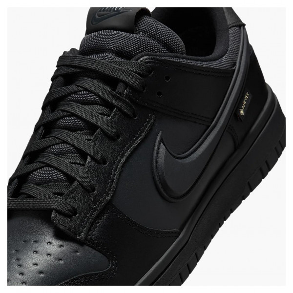 Кросівки чоловічі Nike Dunk Low Gore-Tex (HQ2053-001)
