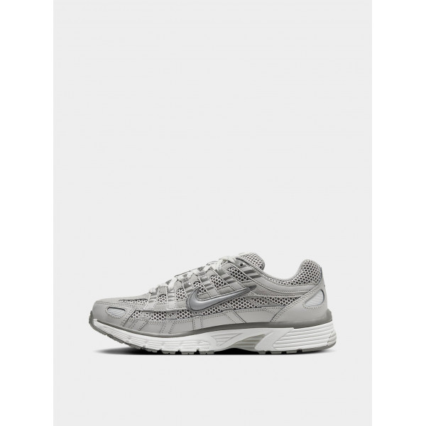 Кросівки чоловічі Nike P-6000 Premium (FN6837-012)