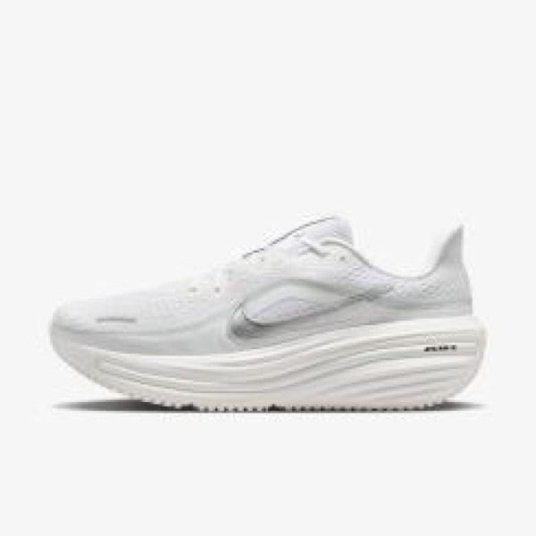 Кросівки чоловічі Nike Air Winflo 12 (HV9272-002)