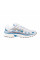 Кросівки чоловічі Nike P-6000 (HJ7246-100)