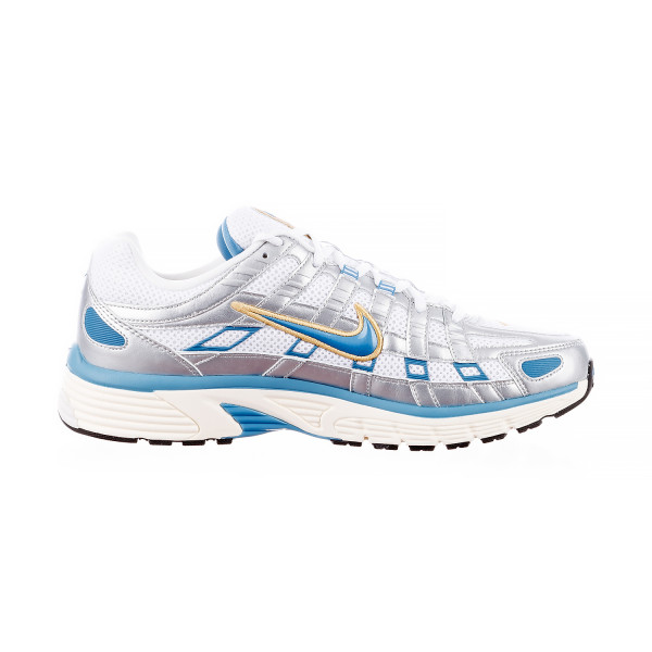 Кросівки чоловічі Nike P-6000 (HJ7246-100)