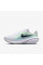 Кросівки чоловічі Nike Downshifter 14 (IB1895-001)
