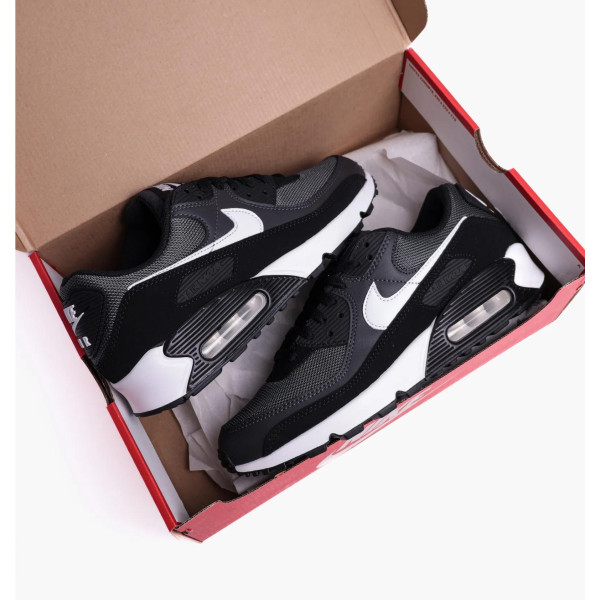 Кросівки чоловічі Nike Air Max 90 (CN8490-002)