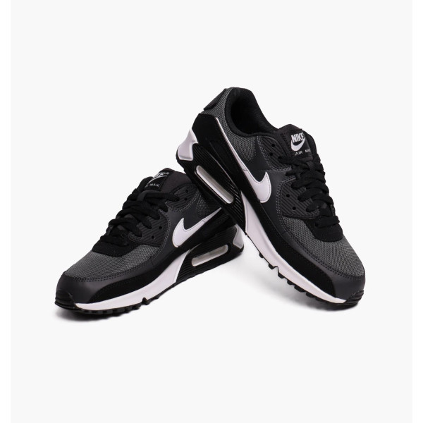 Кросівки чоловічі Nike Air Max 90 (CN8490-002)